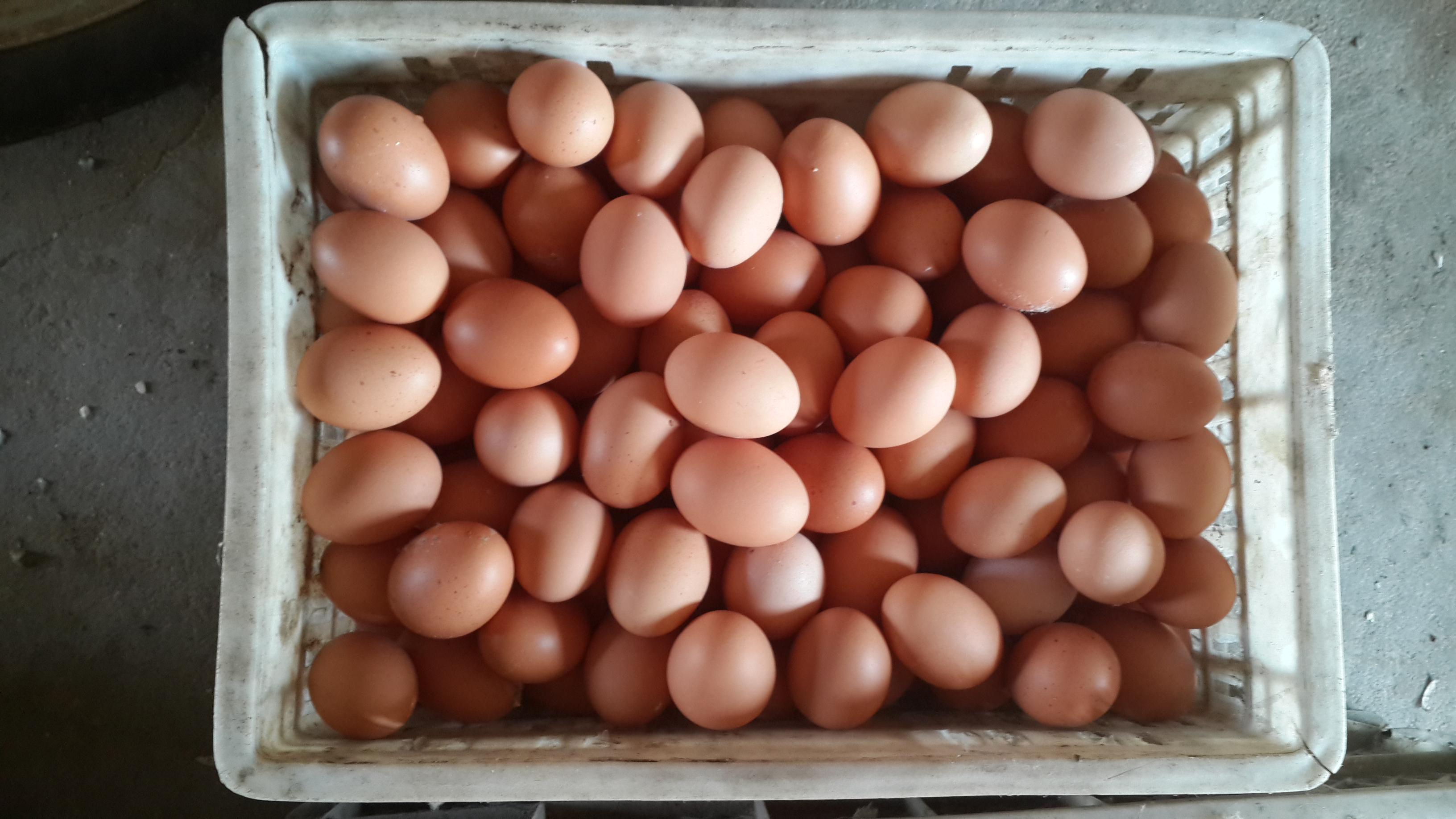 ��ҳ| 88858cc���������й����ٷ���վ