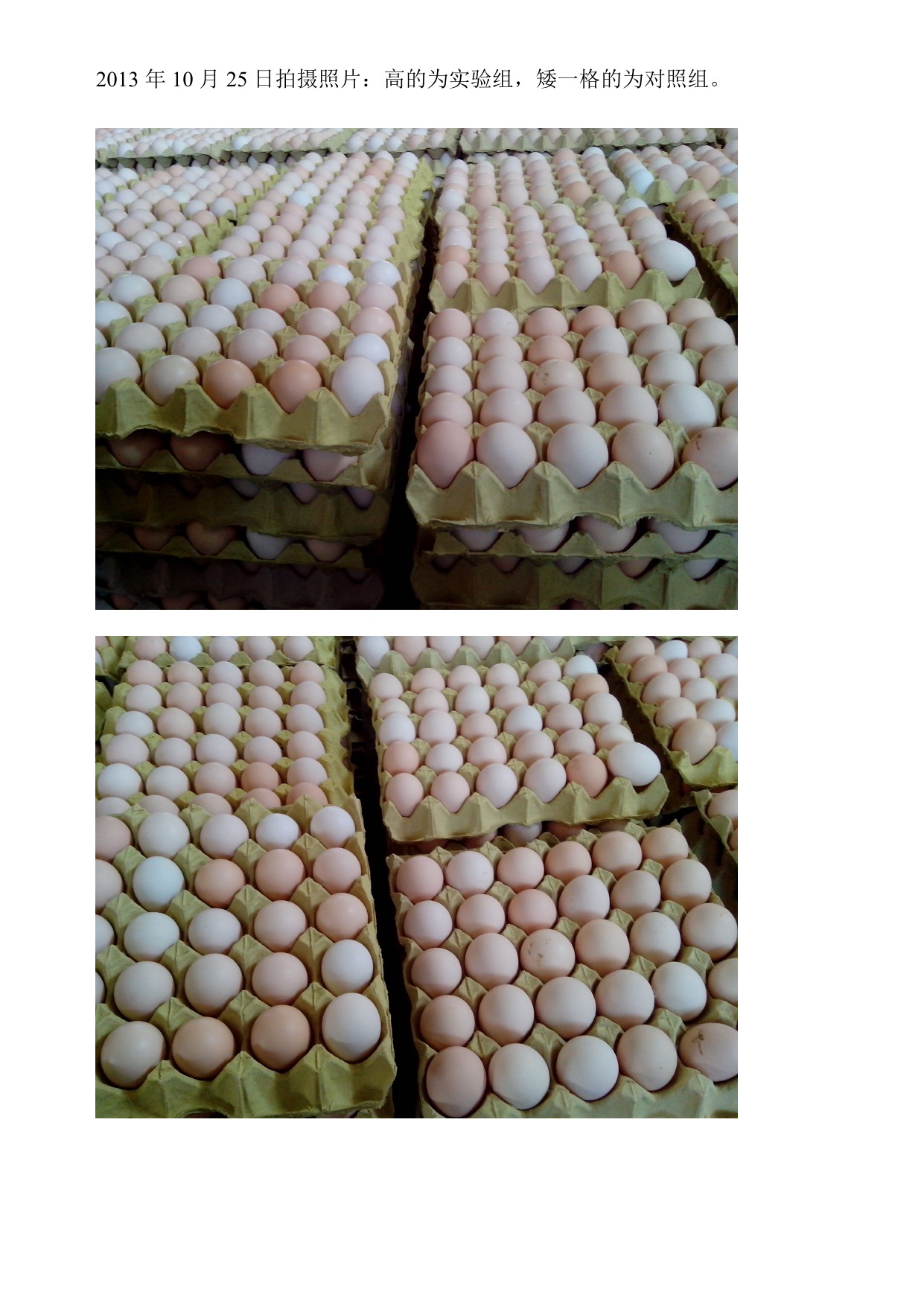 ��ҳ| 88858cc���������й����ٷ���վ